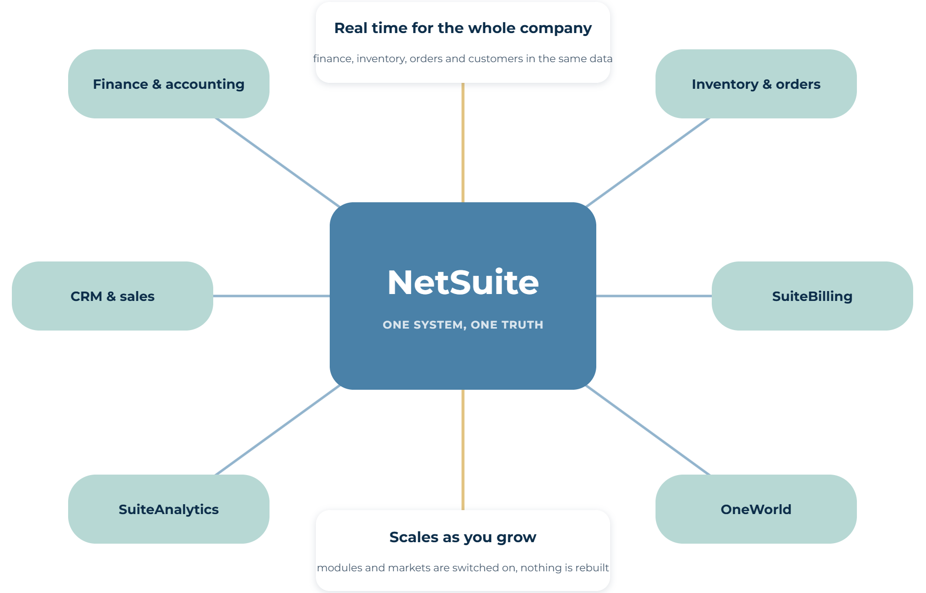 The NetSuite platform: finance, inventory, CRM, SuiteBilling, SuiteAnalytics and OneWorld in one system